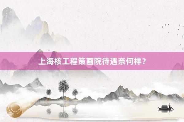 上海核工程策画院待遇奈何样？